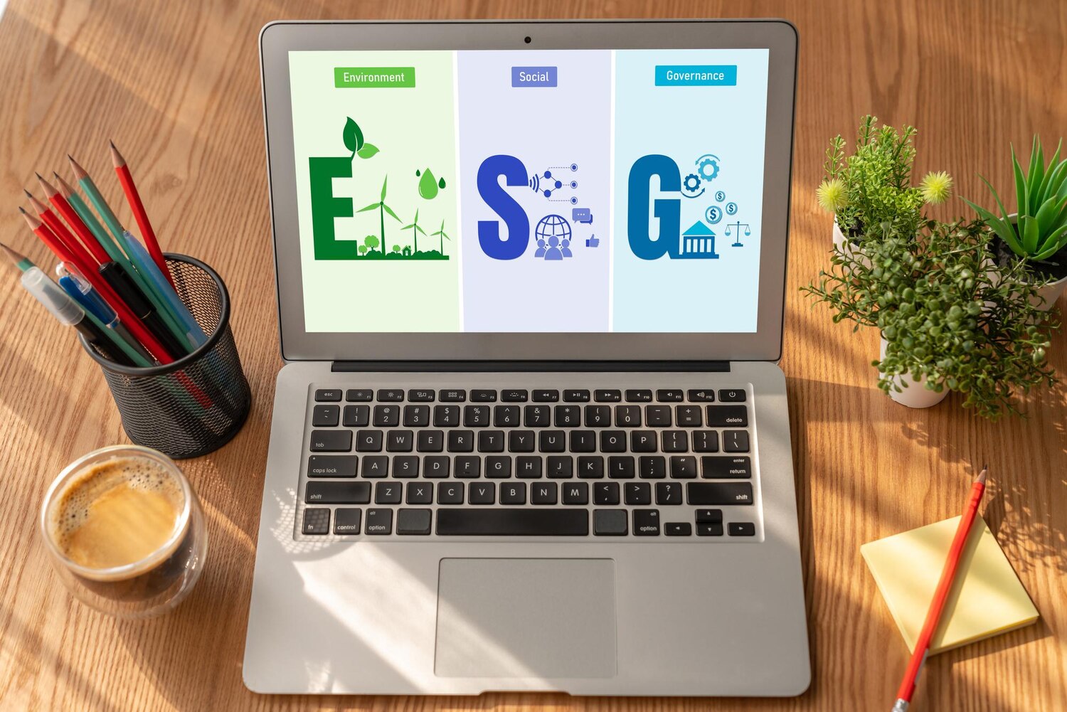 Google Business Profile posts content policy zasady treści